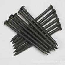 Polished Common Iron Nails